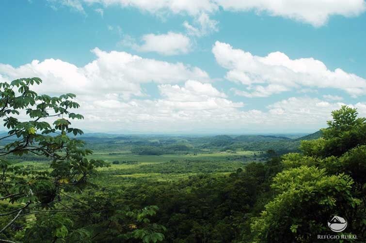 Sítio, 4 hectares - Foto 4