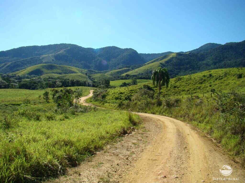 Sítio, 4 hectares - Foto 1