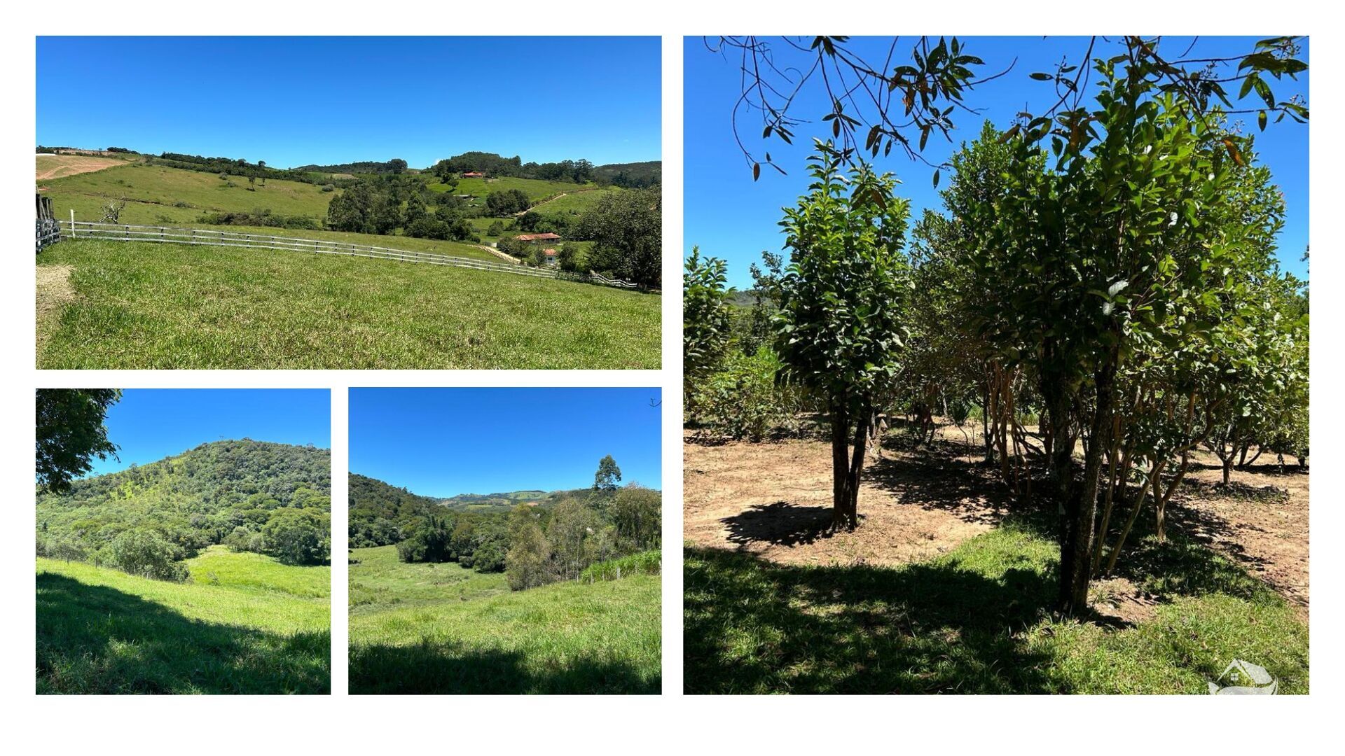 Sítio à venda com 2 quartos, 121000m² - Foto 3