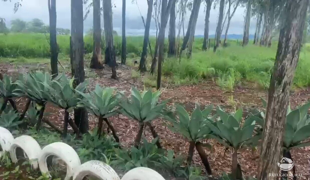 Fazenda em Patos de Minas/Minas Gerais — Ref ESF2VU — Imagem 4
