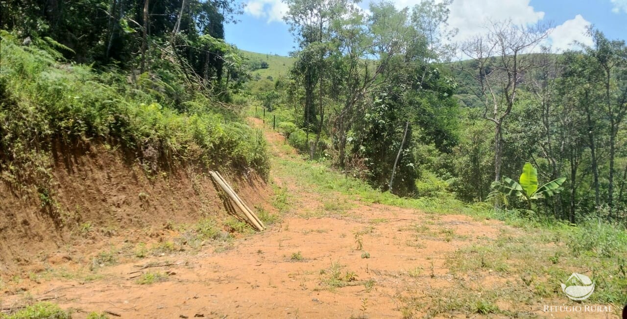 Terreno à venda, 29500m² - Foto 1