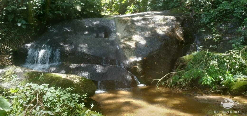 Terreno à venda, 29500m² - Foto 2