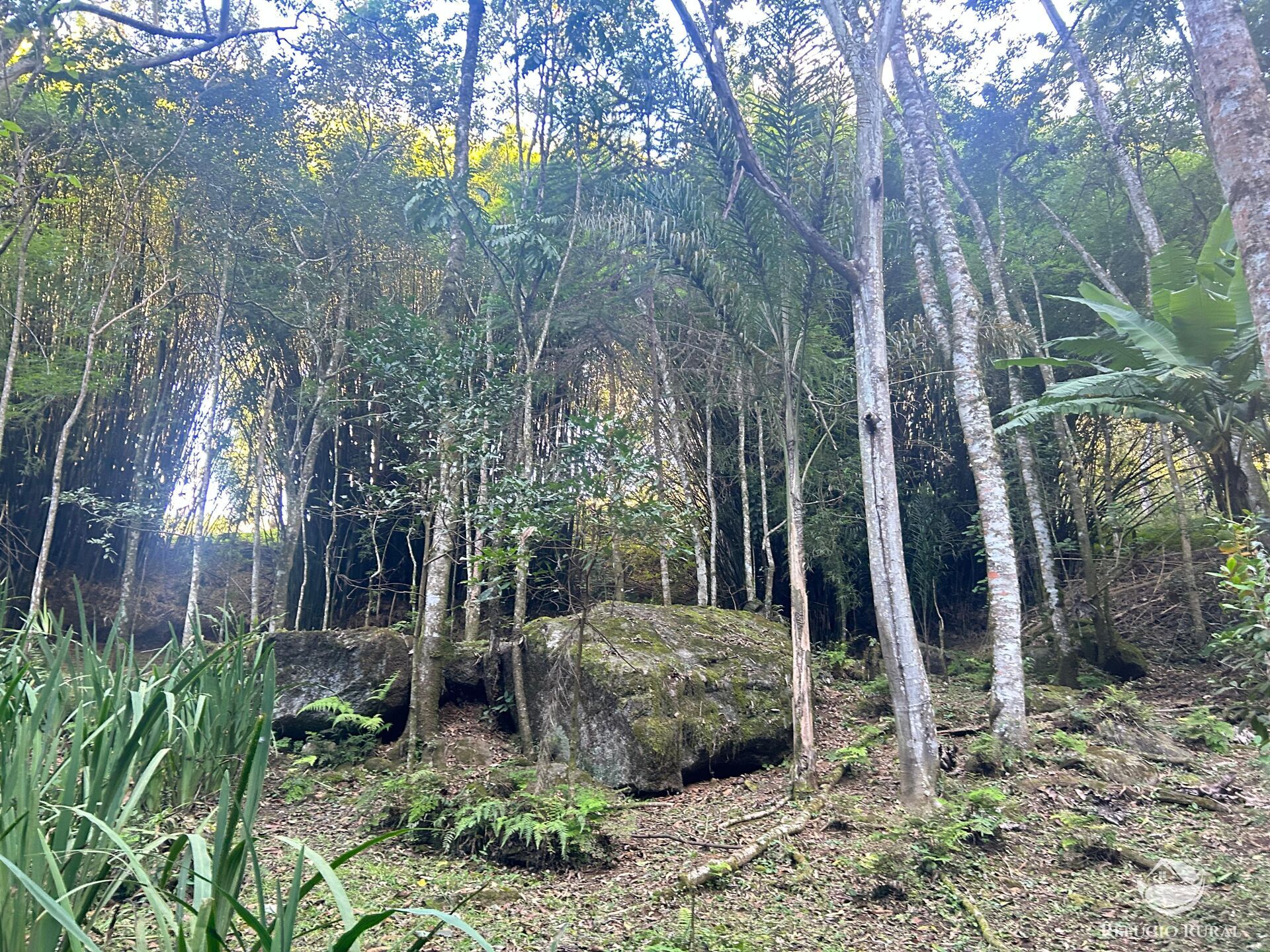 Sítio à venda com 3 quartos, 629200m² - Foto 44