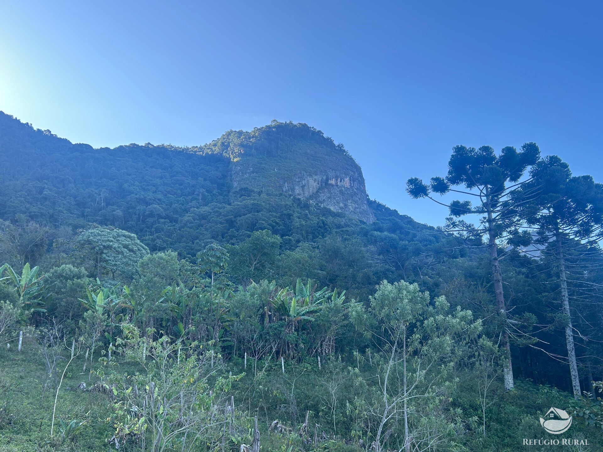 Sítio à venda com 3 quartos, 629200m² - Foto 37