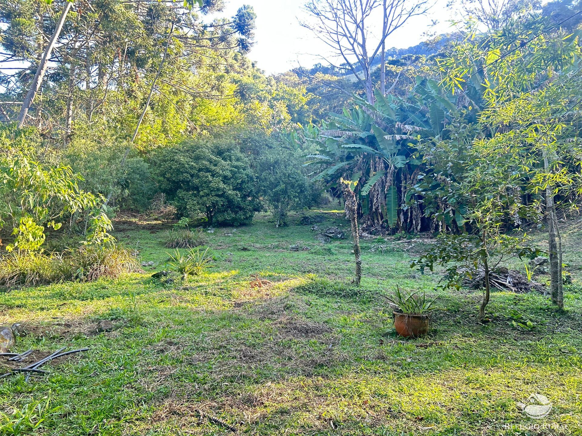 Sítio à venda com 3 quartos, 629200m² - Foto 42