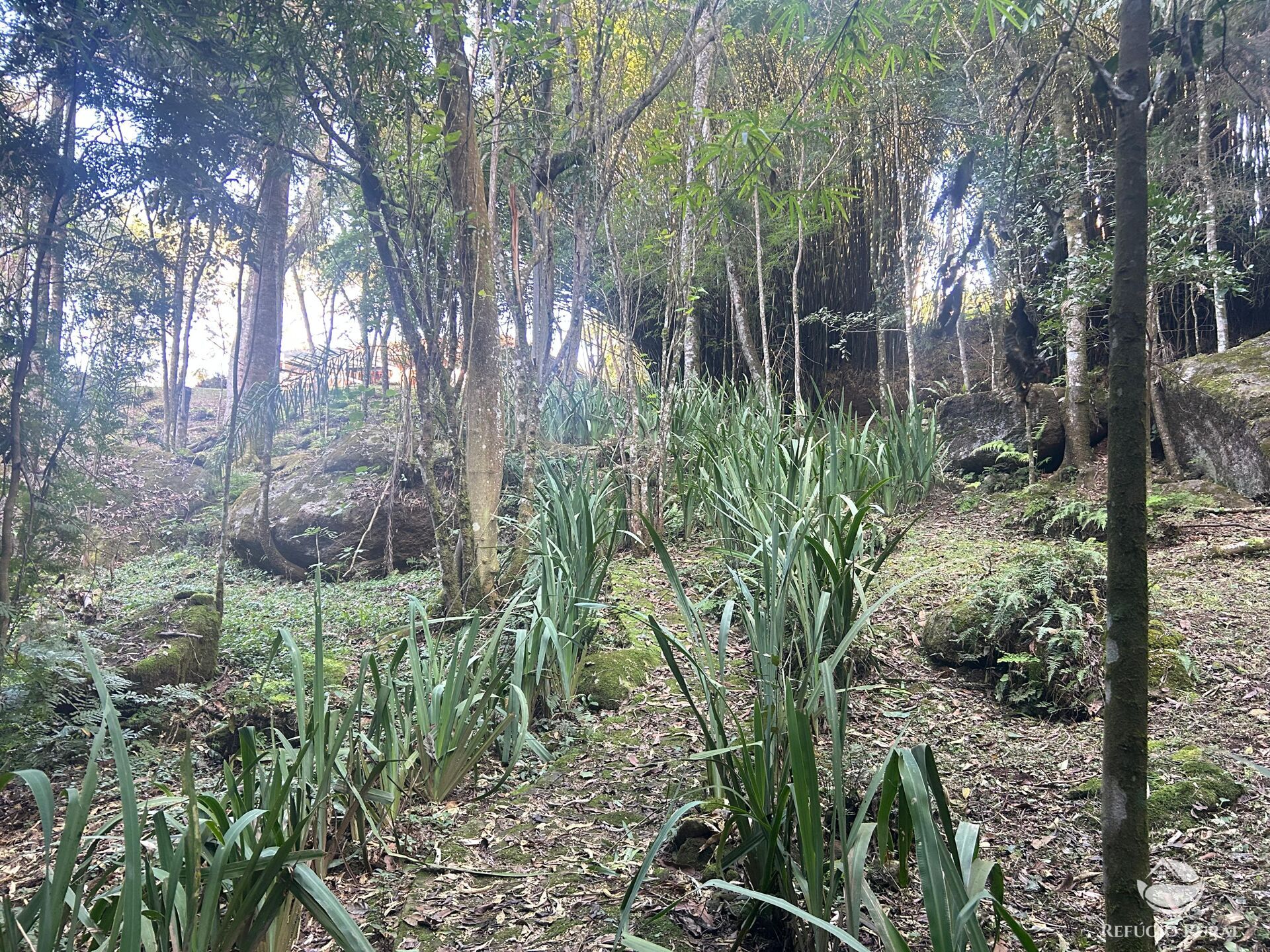 Sítio à venda com 3 quartos, 629200m² - Foto 35