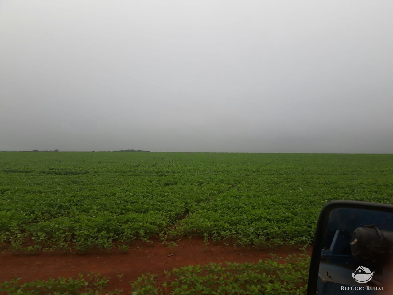 Fazenda à venda com 3 quartos, 350000000m² - Foto 5