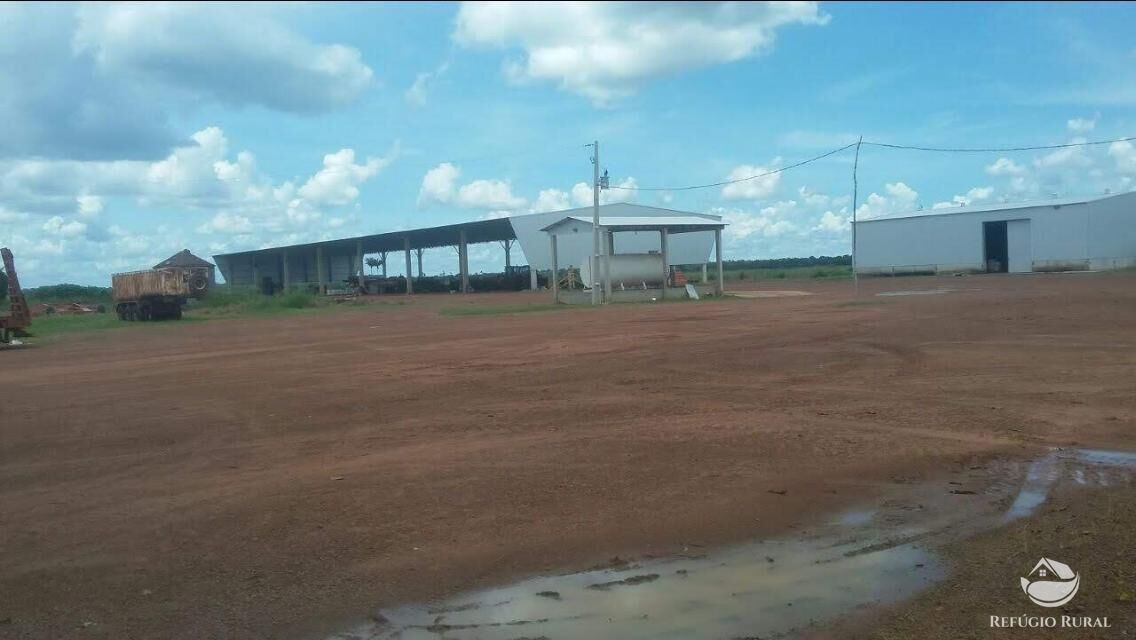 Fazenda à venda com 3 quartos, 350000000m² - Foto 13