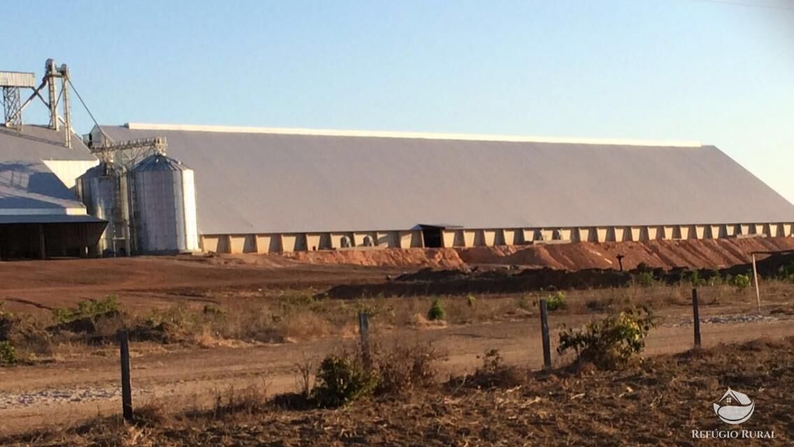 Fazenda à venda com 3 quartos, 350000000m² - Foto 4