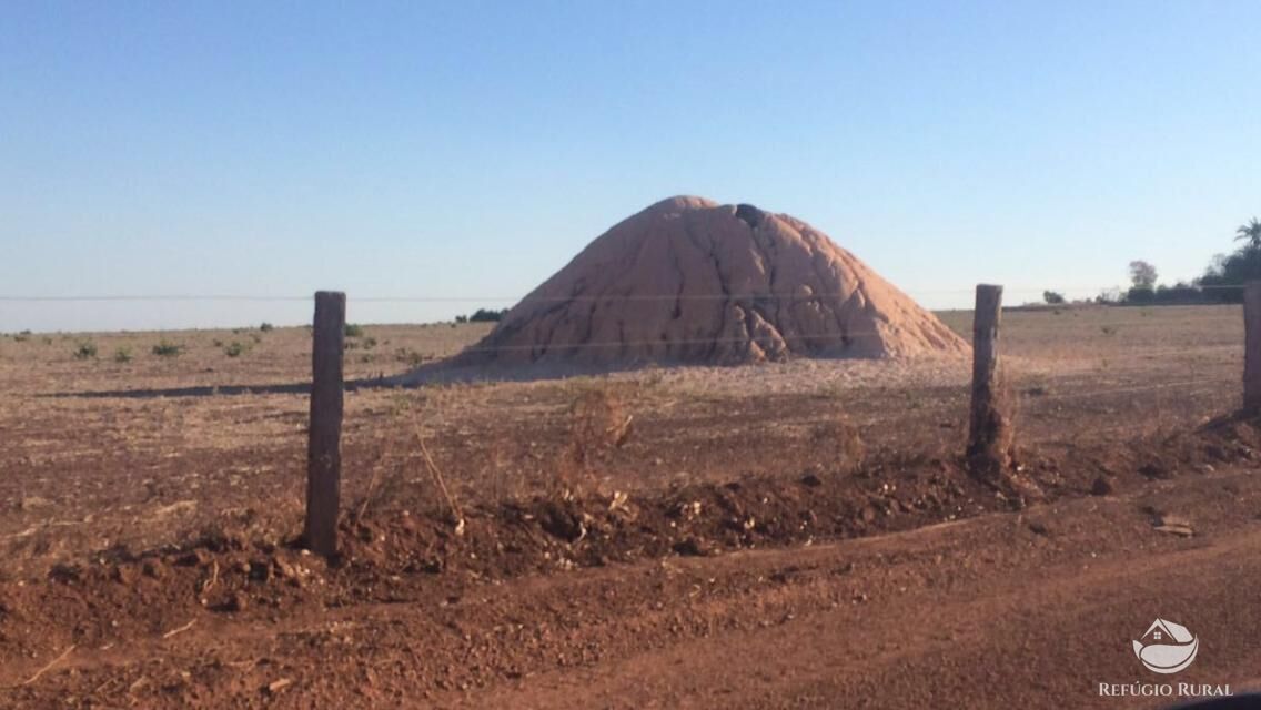 Fazenda à venda com 3 quartos, 350000000m² - Foto 12