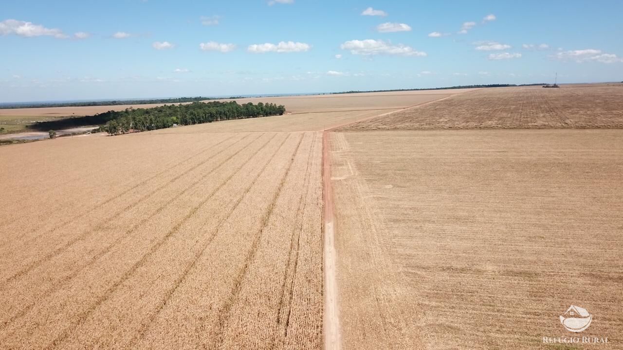 Fazenda à venda com 3 quartos, 350000000m² - Foto 14