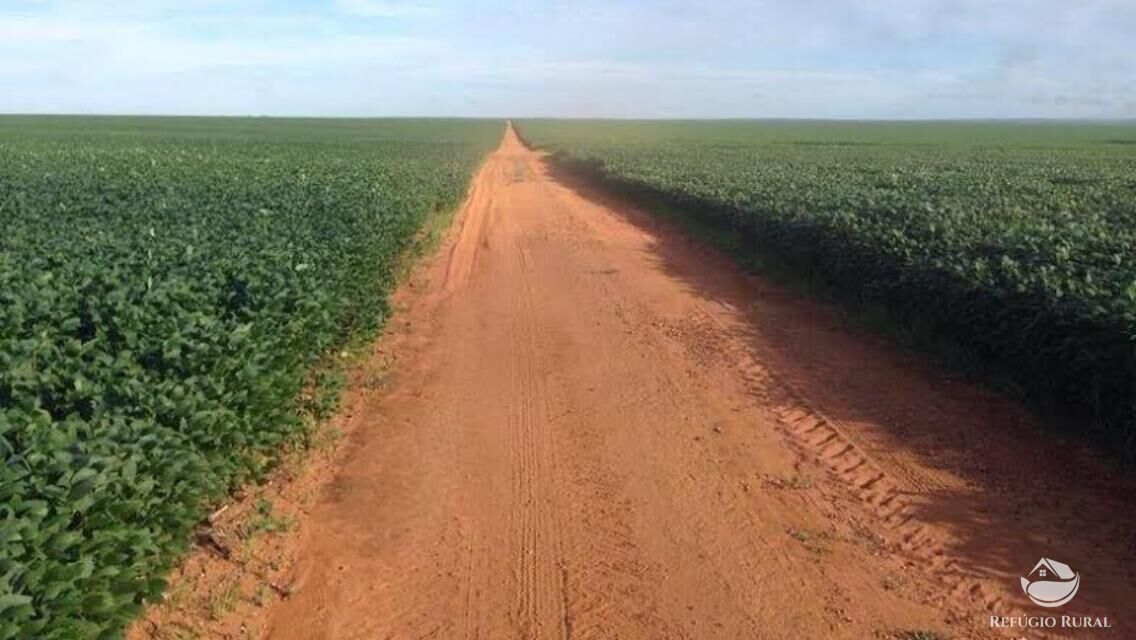 Fazenda à venda com 3 quartos, 350000000m² - Foto 6