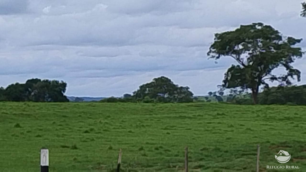 Fazenda à venda com 1 quarto, 42000000m² - Foto 3