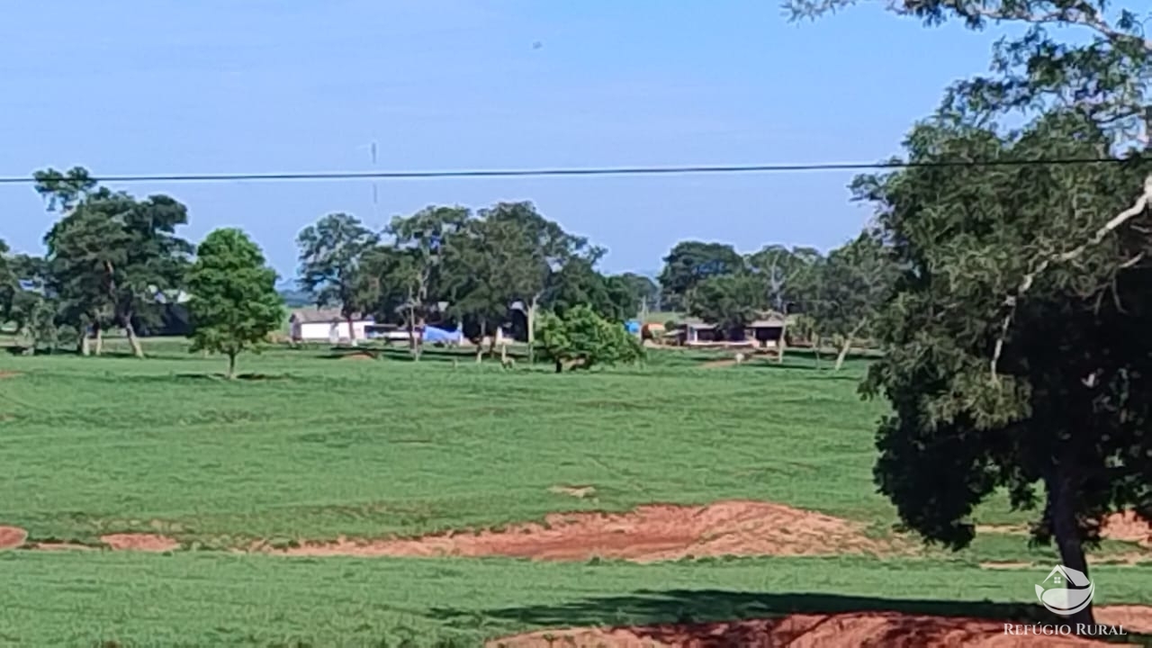 Fazenda à venda com 1 quarto, 42000000m² - Foto 10