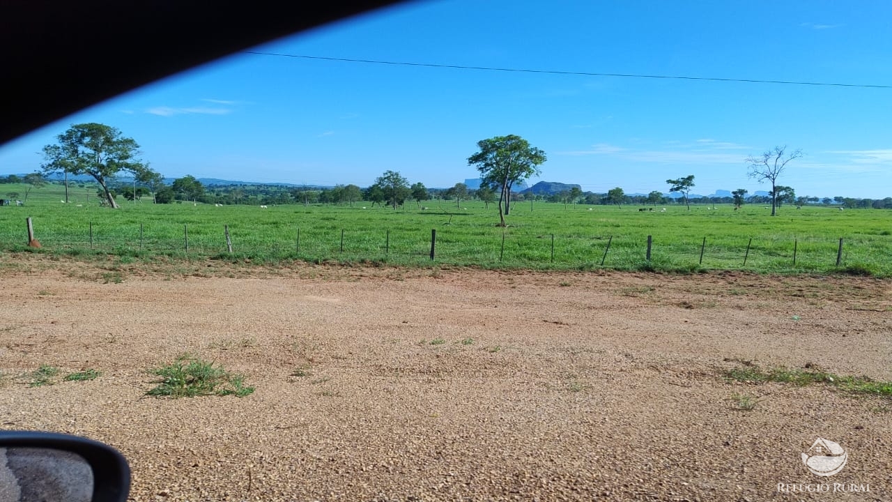 Fazenda à venda com 1 quarto, 42000000m² - Foto 12