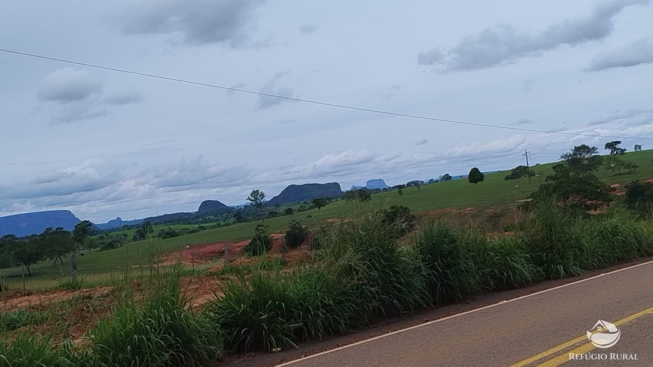 Fazenda à venda com 1 quarto, 42000000m² - Foto 4