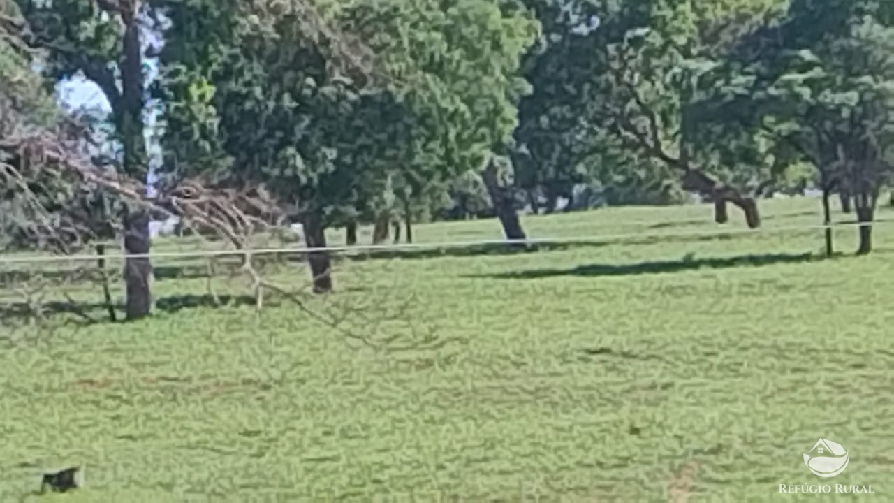 Fazenda à venda com 1 quarto, 42000000m² - Foto 11