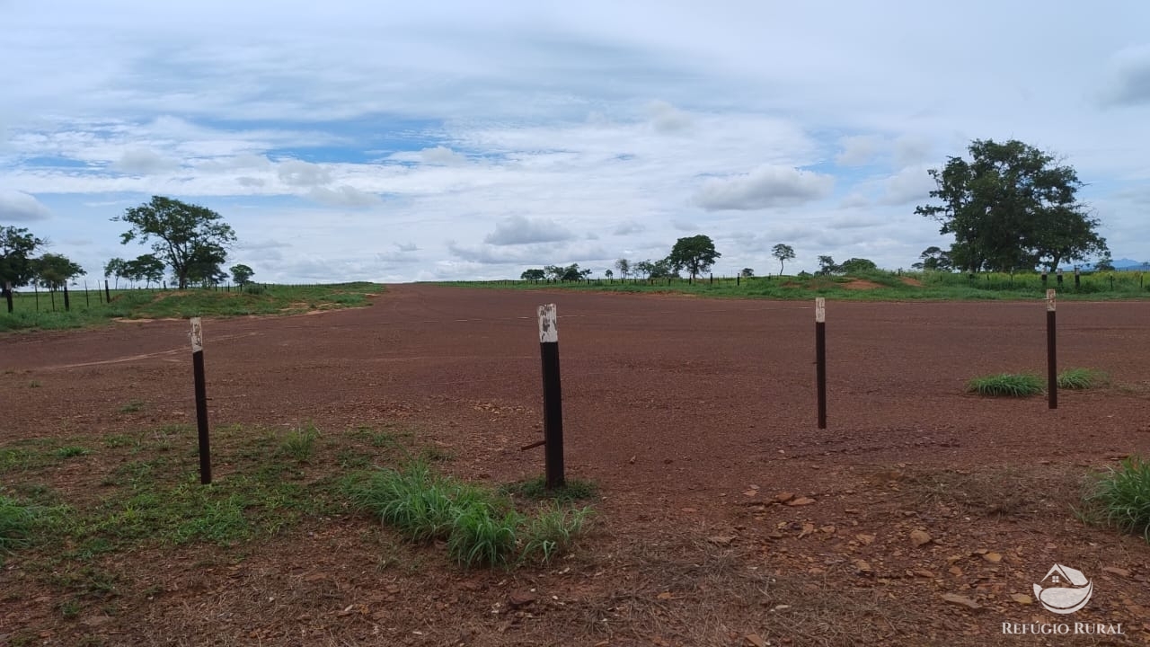 Fazenda à venda com 1 quarto, 42000000m² - Foto 13