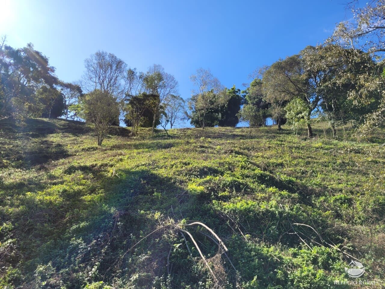 Terreno à venda, 20000m² - Foto 23