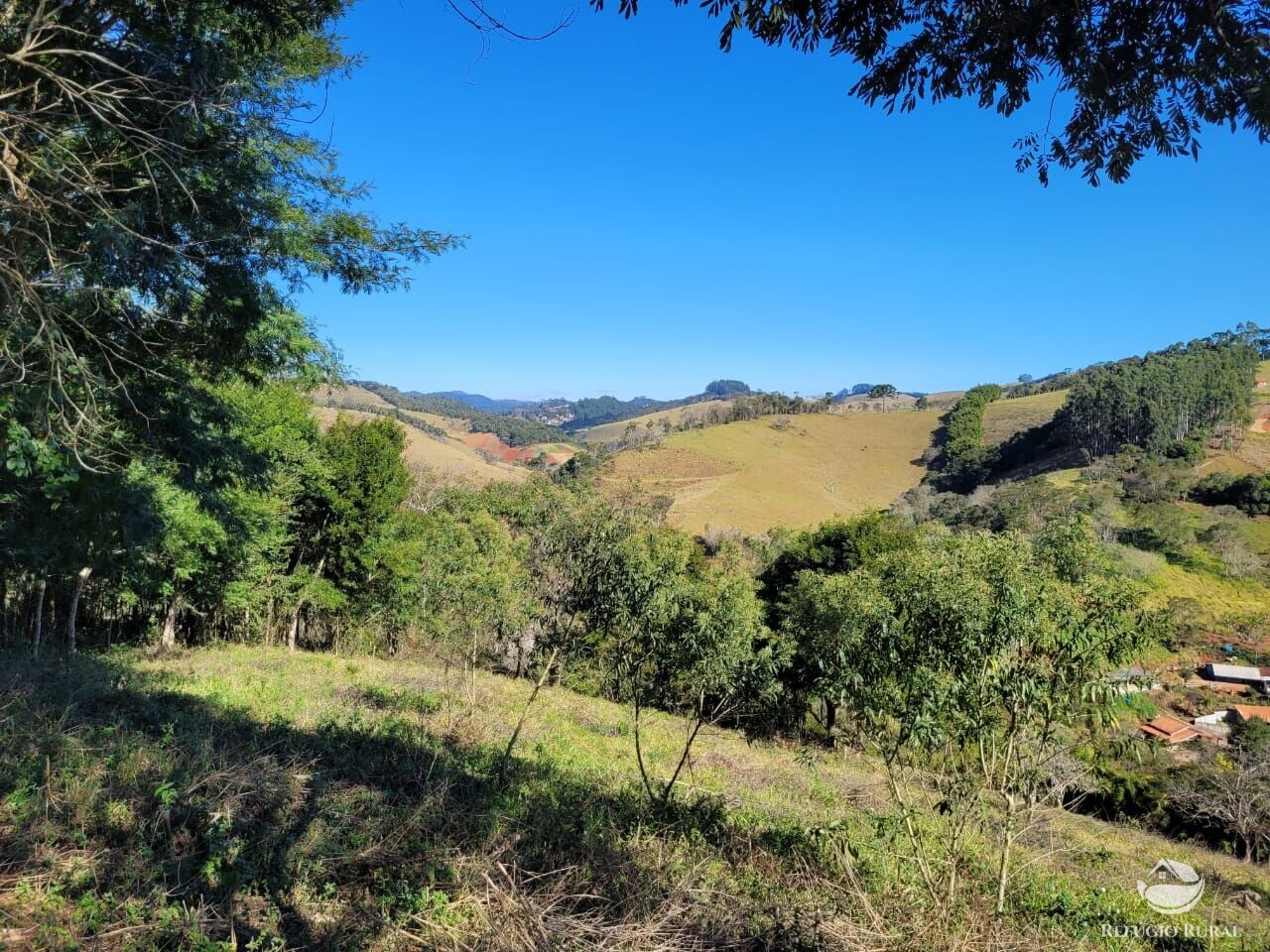 Terreno à venda, 20000m² - Foto 16