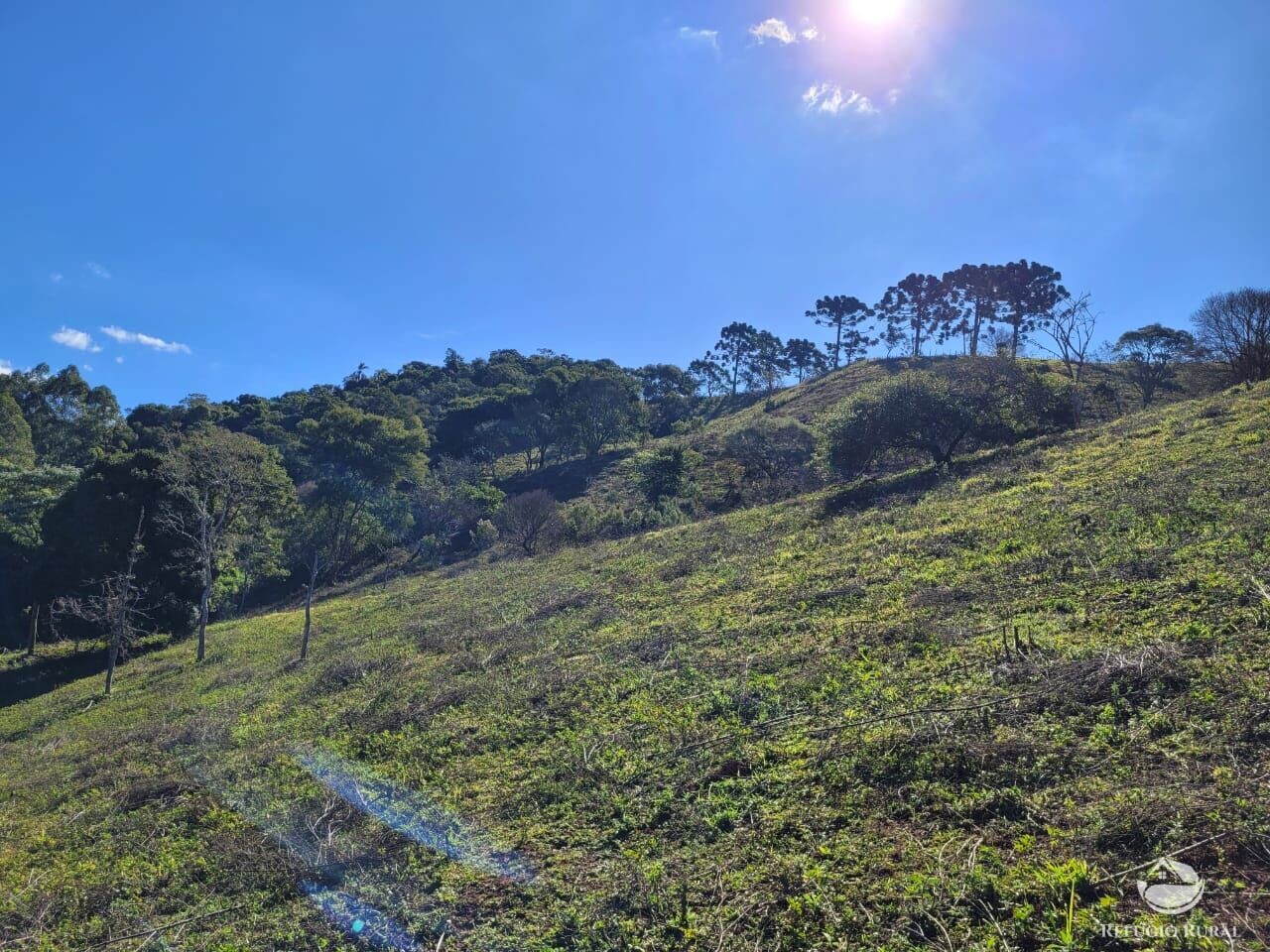 Terreno à venda, 20000m² - Foto 24