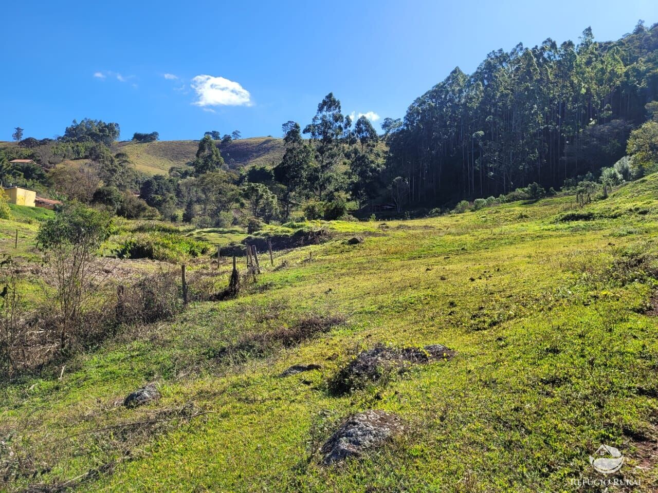 Terreno à venda, 20000m² - Foto 2