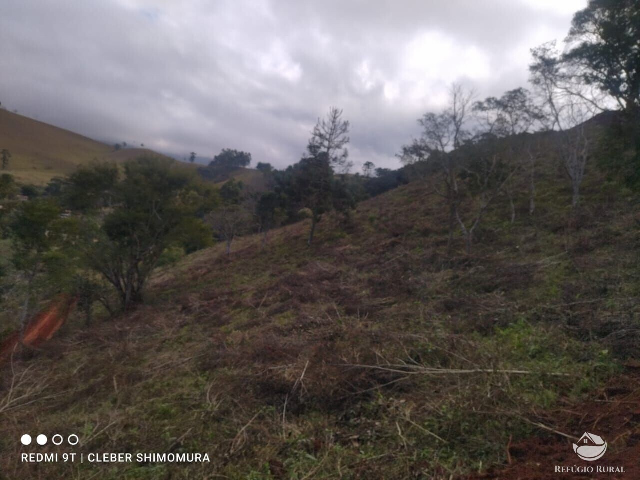 Terreno à venda, 20000m² - Foto 4