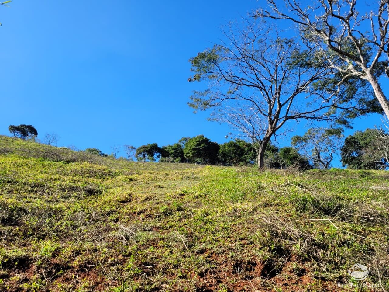 Terreno à venda, 20000m² - Foto 19