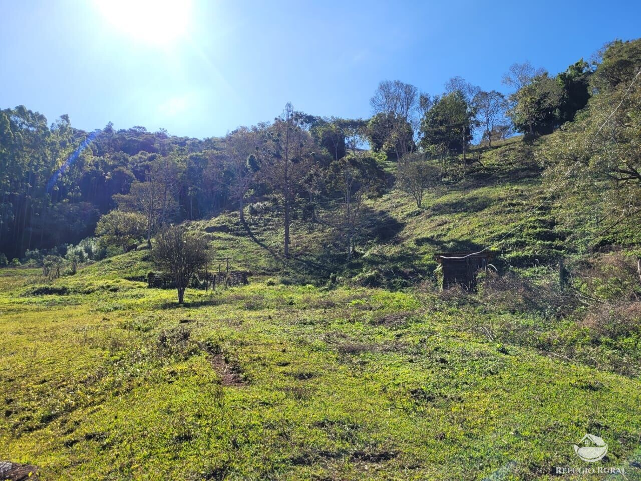 Terreno à venda, 20000m² - Foto 3