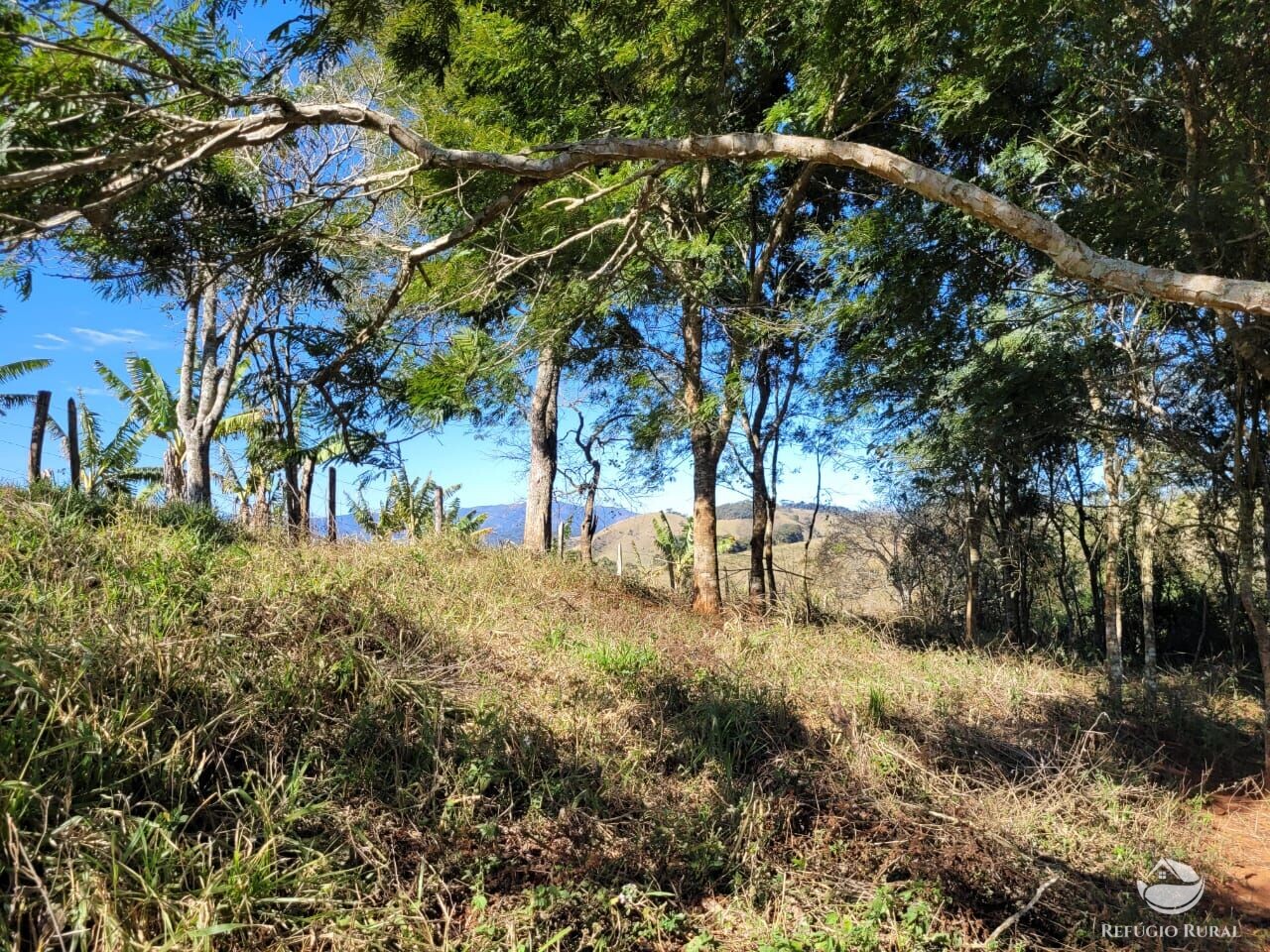 Terreno à venda, 20000m² - Foto 20