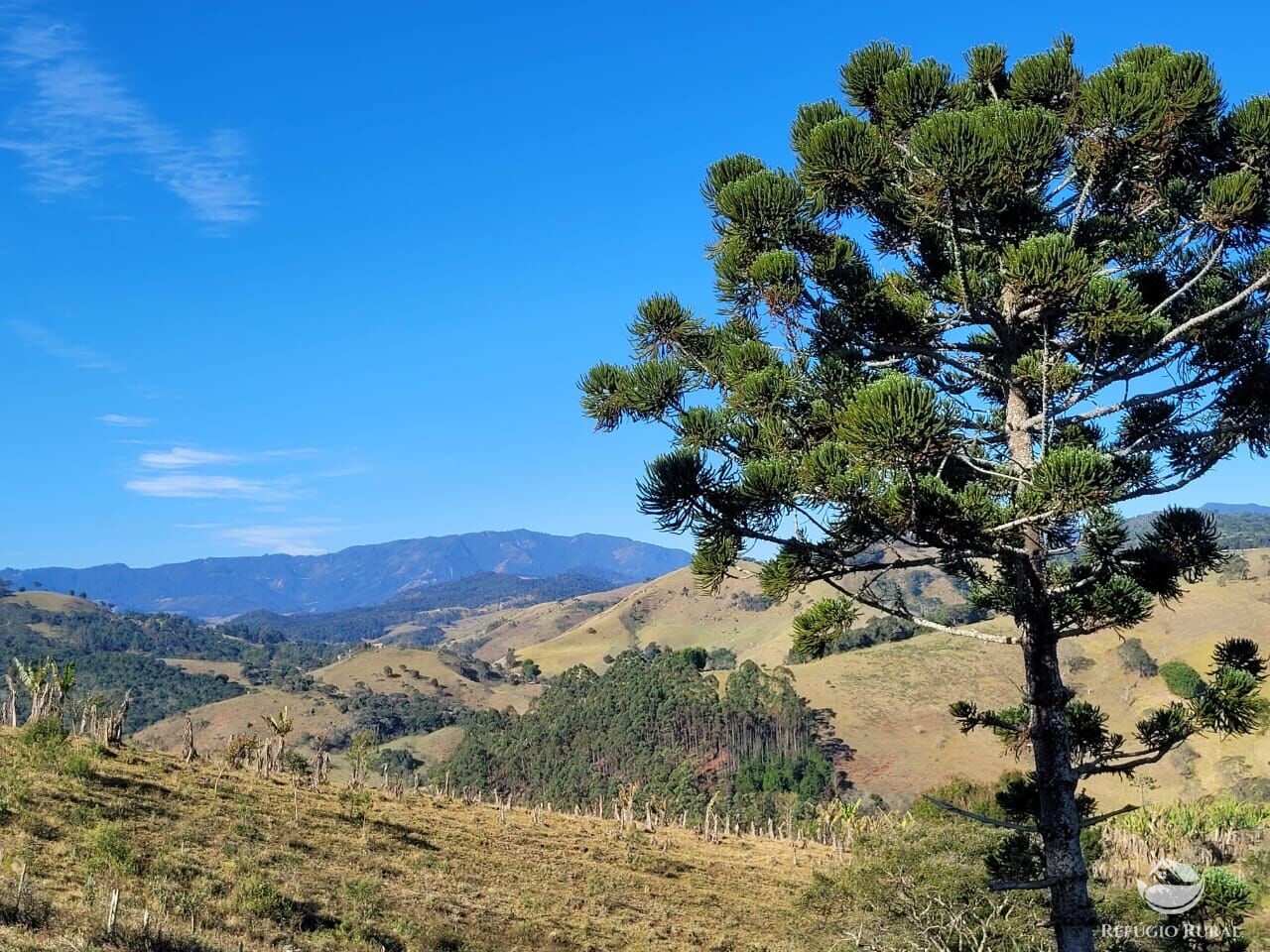 Terreno à venda, 20000m² - Foto 1