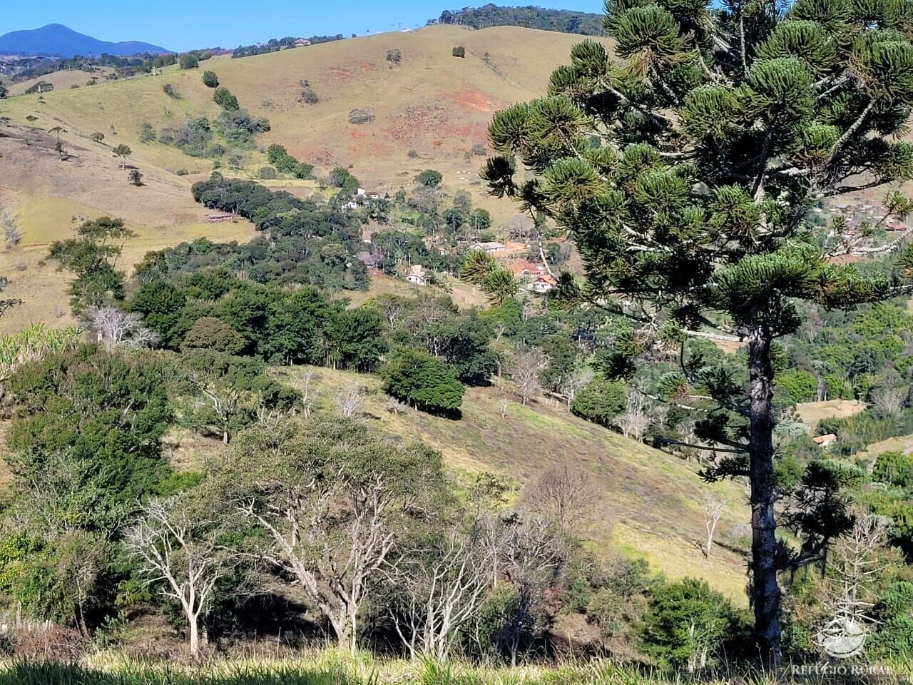 Terreno à venda, 20000m² - Foto 5