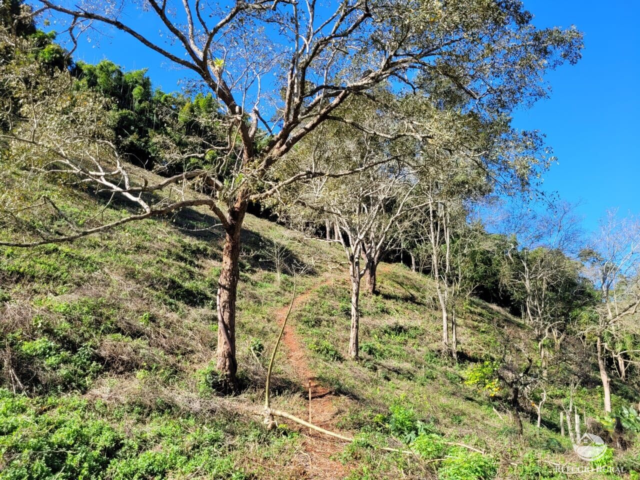 Terreno à venda, 20000m² - Foto 25