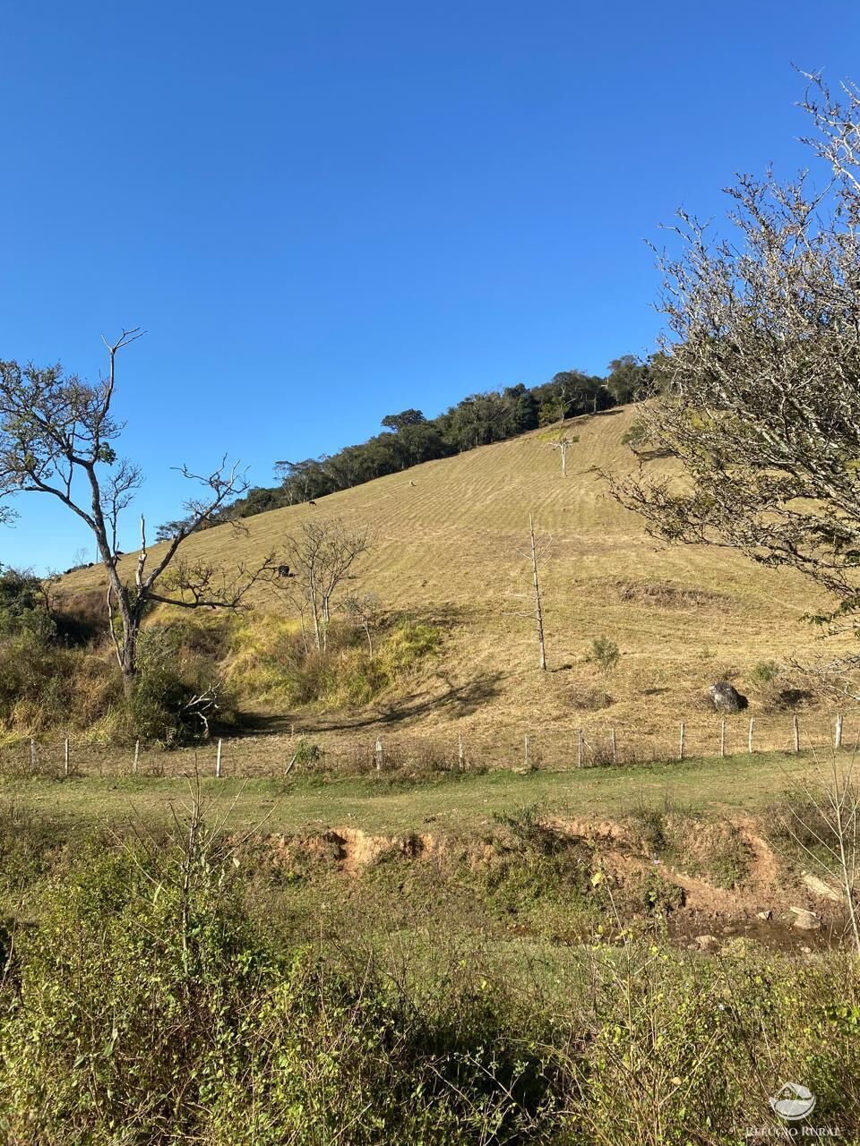 Terreno, 10 hectares - Foto 4