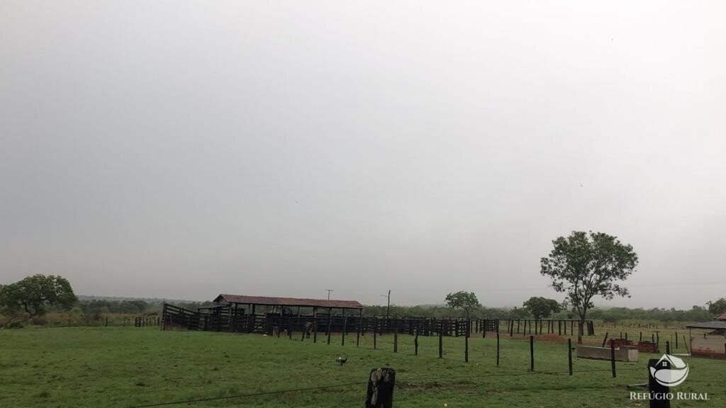 Fazenda à venda com 1 quarto, 10986800m² - Foto 6