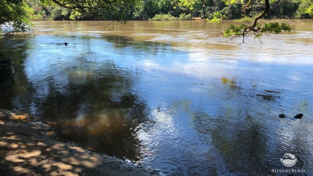 Fazenda à venda com 1 quarto, 10986800m² - Foto 4