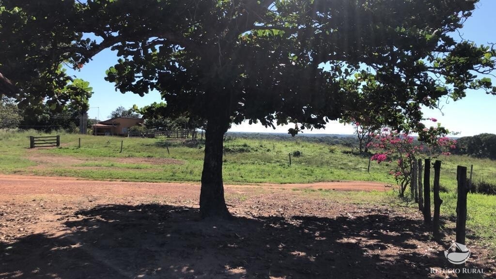 Fazenda à venda com 1 quarto, 10986800m² - Foto 18