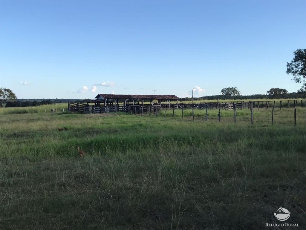 Fazenda à venda com 1 quarto, 10986800m² - Foto 2