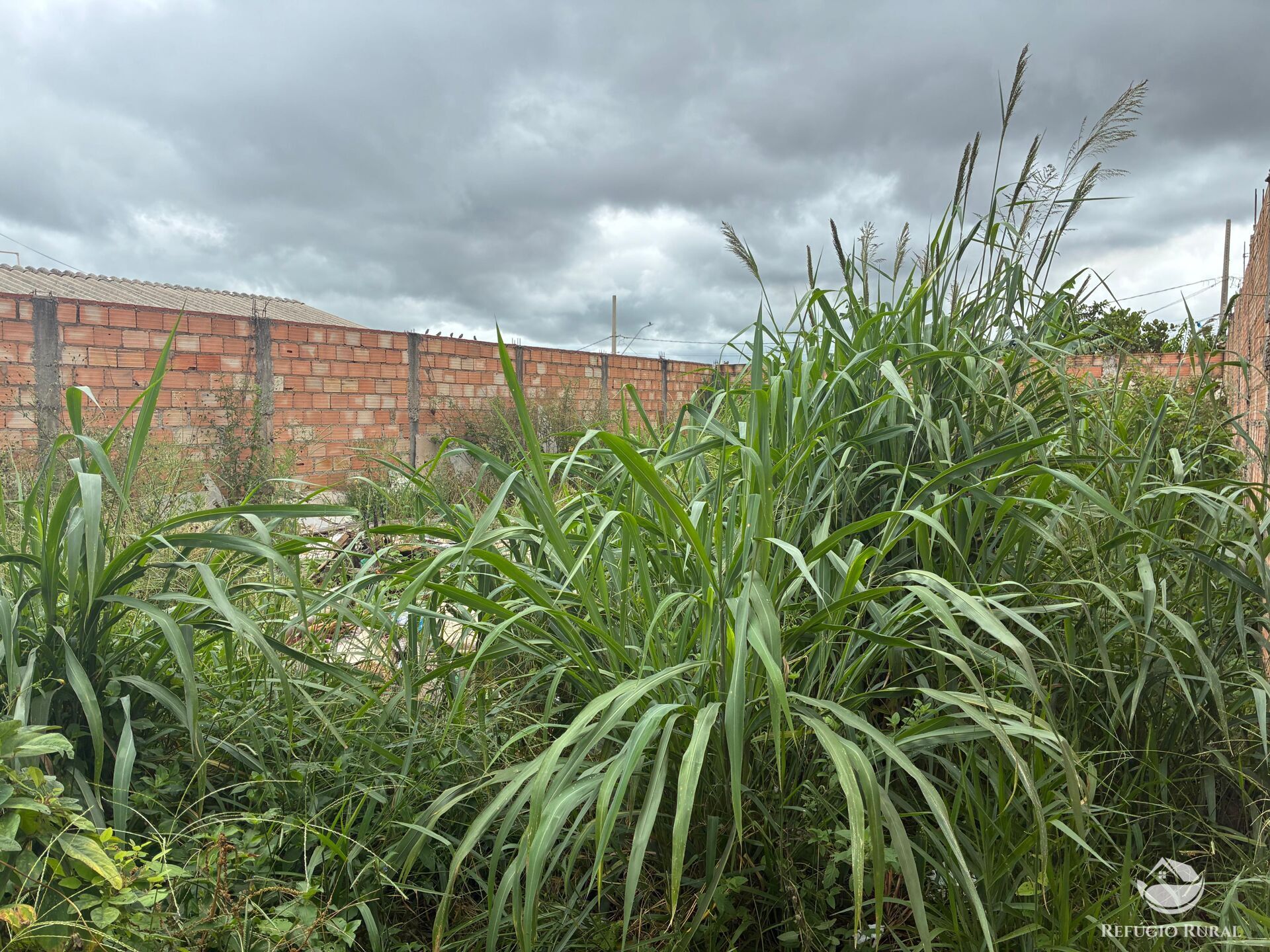 Terreno, 250 m² - Foto 2