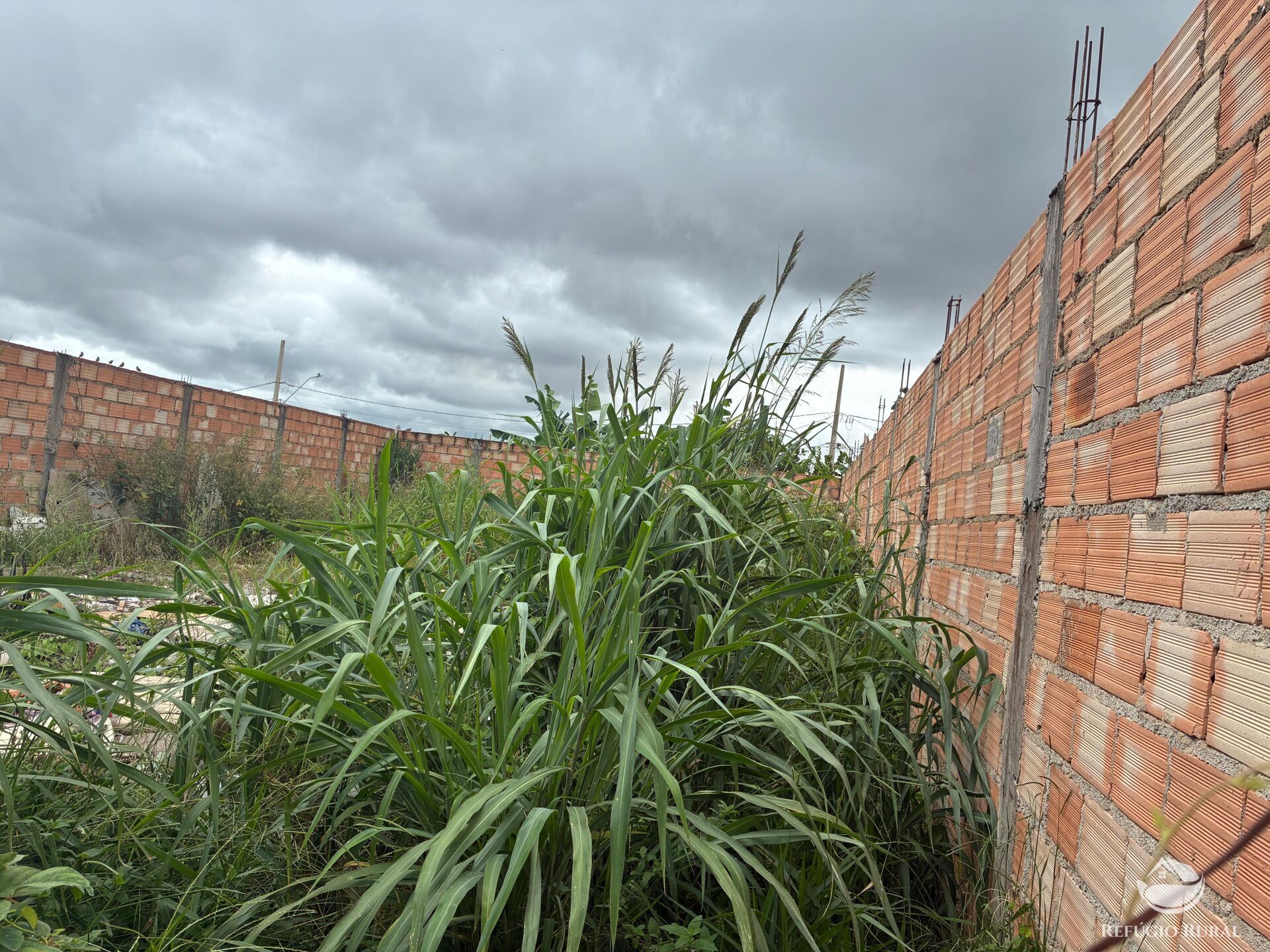 Terreno, 250 m² - Foto 3