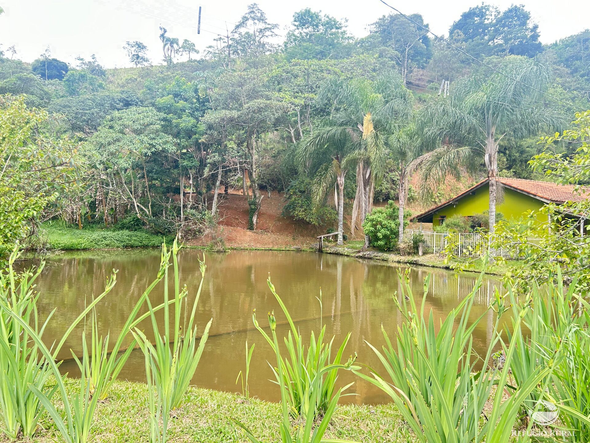 Fazenda à venda com 5 quartos, 240000m² - Foto 35