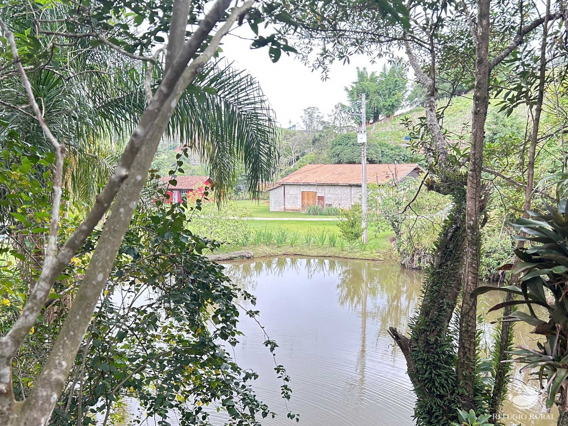 Fazenda à venda com 5 quartos, 240000m² - Foto 26