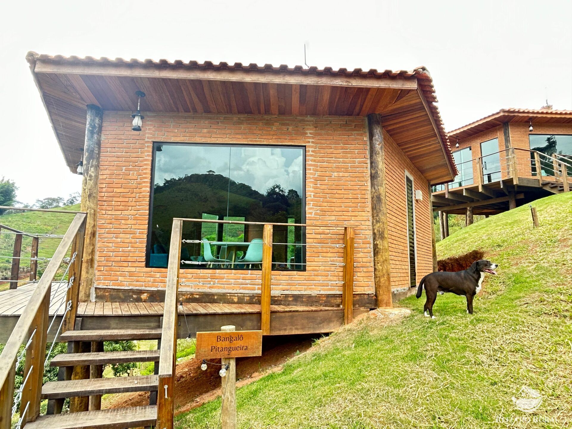 Fazenda à venda com 5 quartos, 240000m² - Foto 4