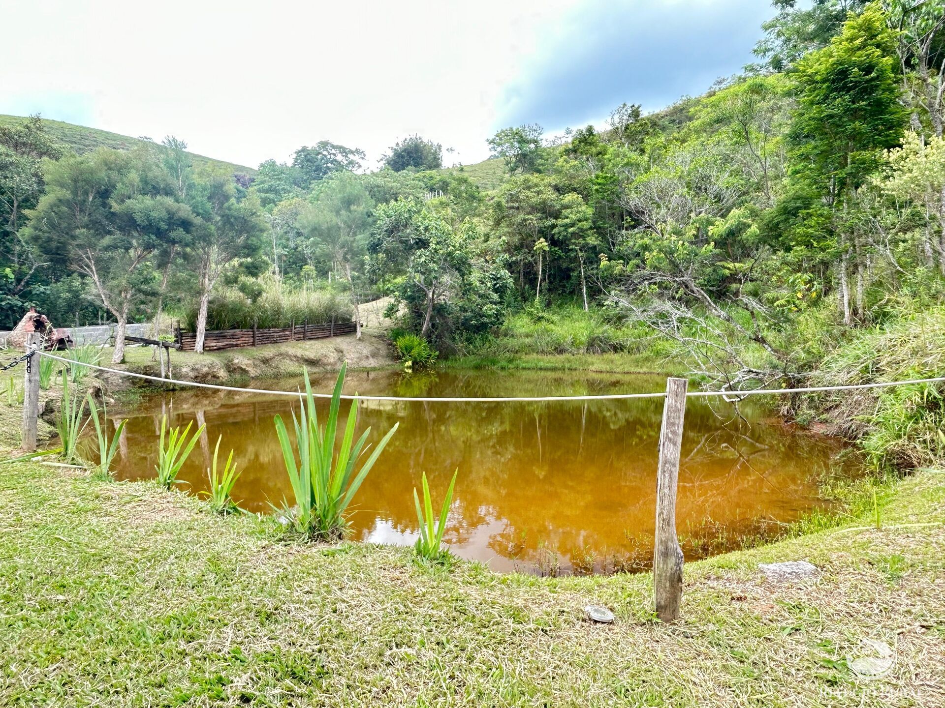 Fazenda à venda com 5 quartos, 240000m² - Foto 20