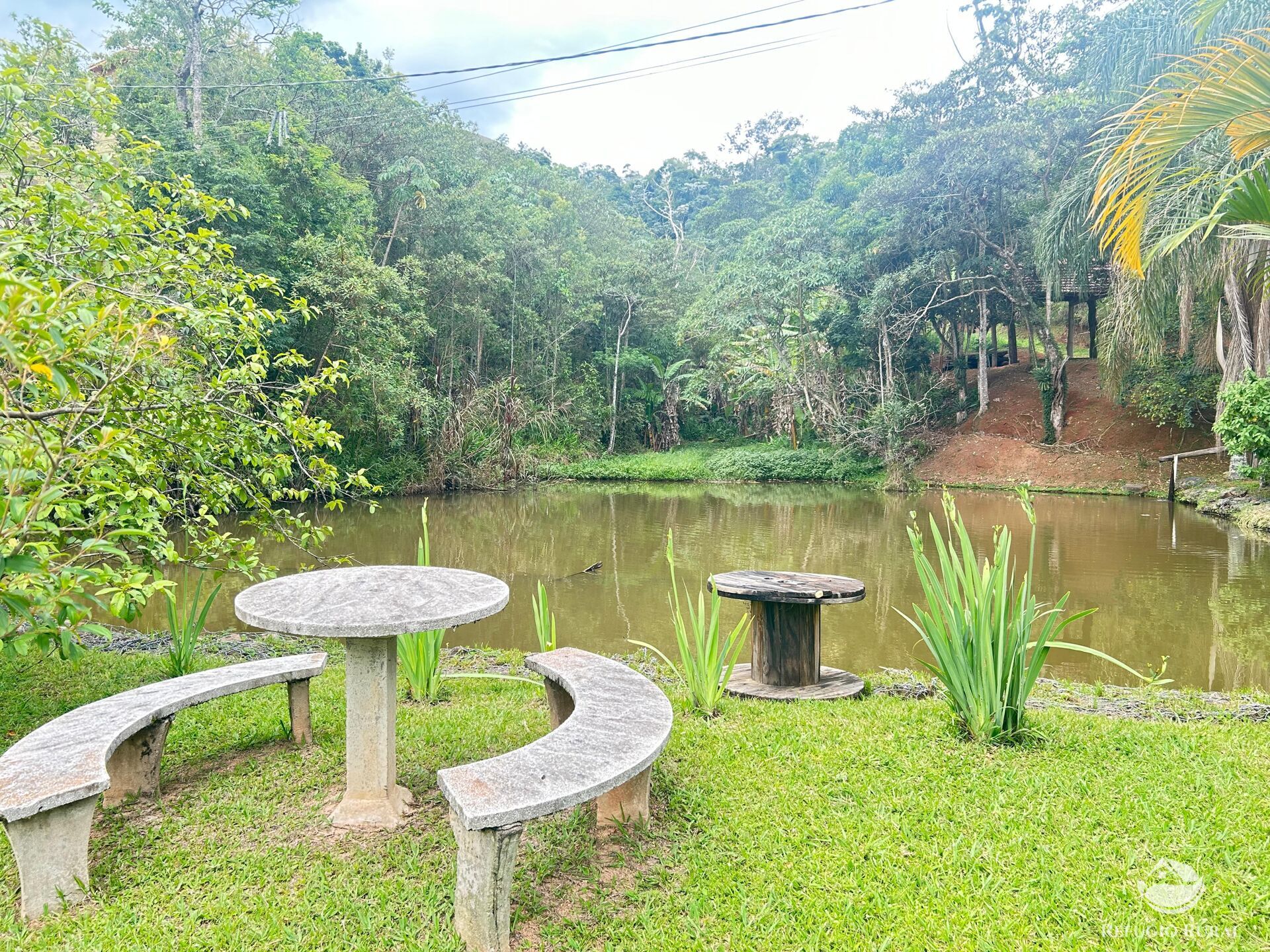 Fazenda à venda com 5 quartos, 240000m² - Foto 3