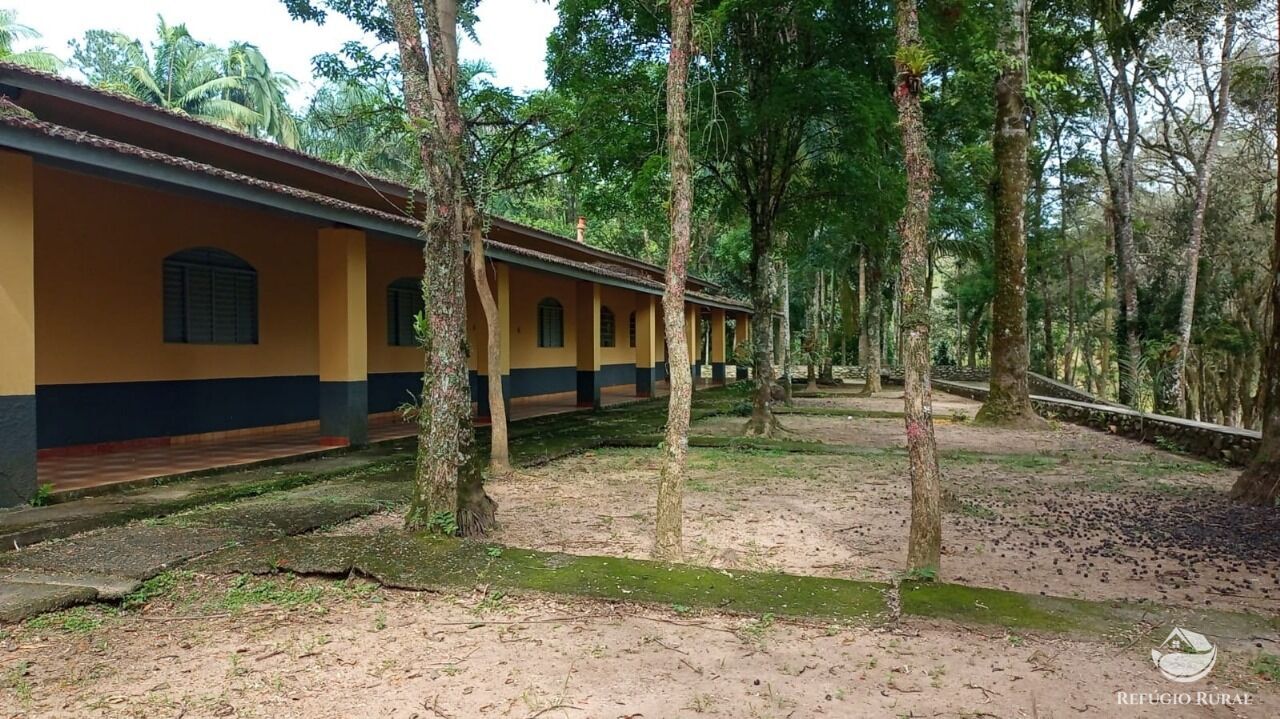 Fazenda à venda com 6 quartos, 3968800m² - Foto 17