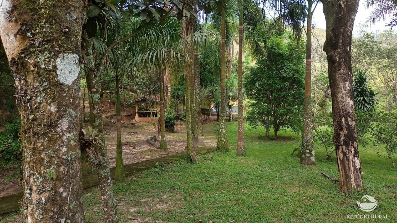 Fazenda à venda com 6 quartos, 3968800m² - Foto 3