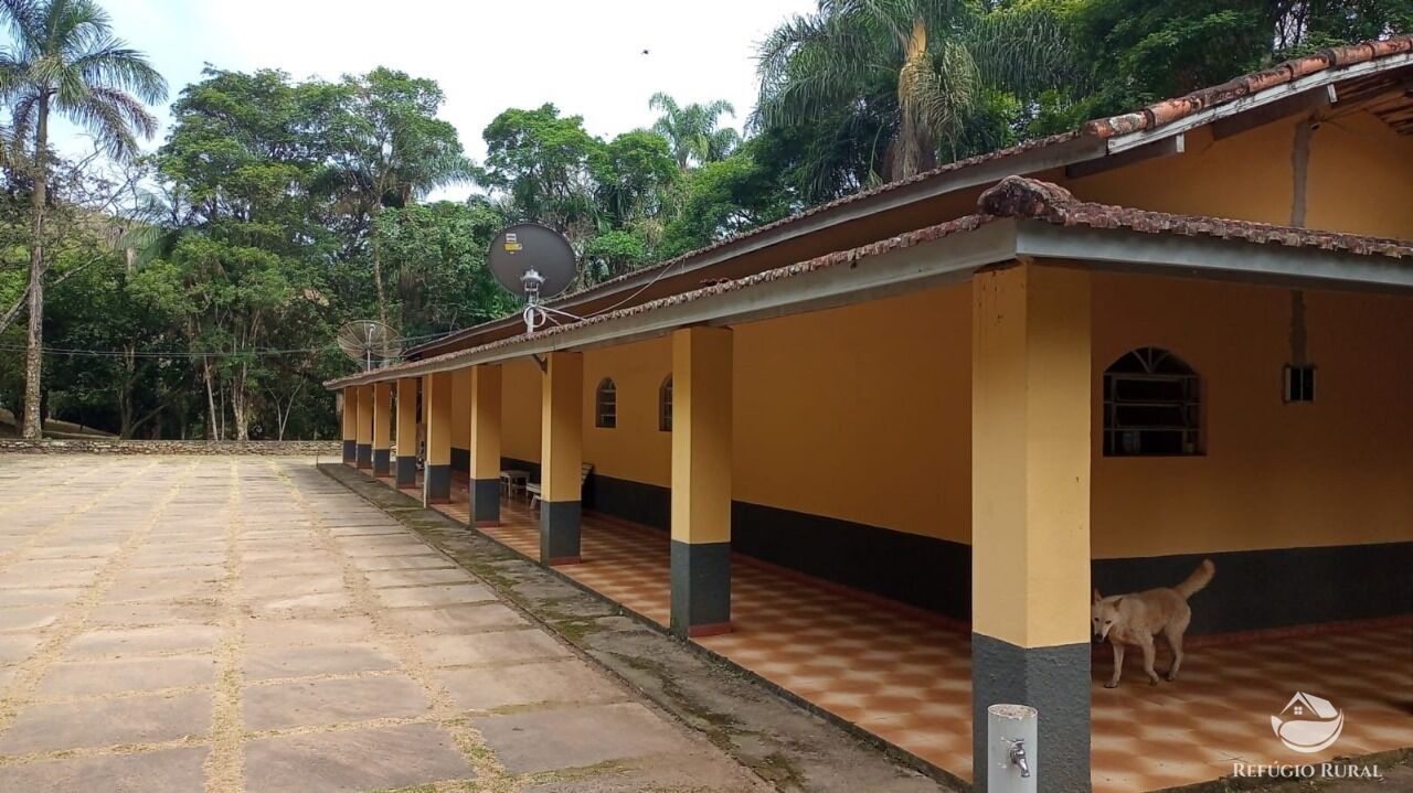 Fazenda à venda com 6 quartos, 3968800m² - Foto 12