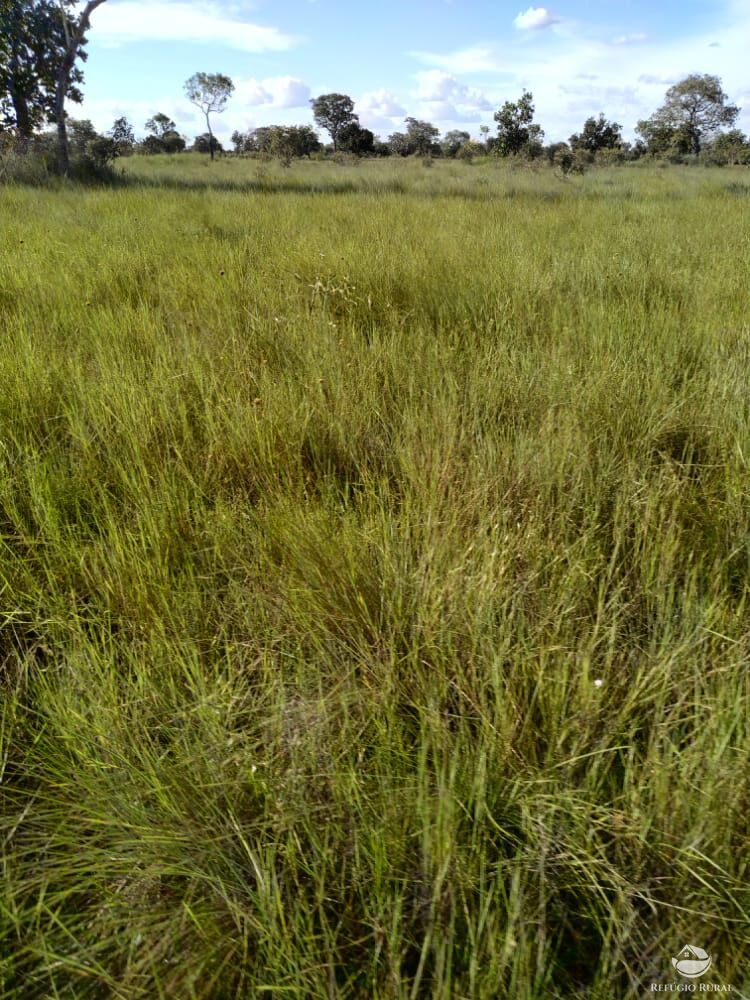 Fazenda à venda com 1 quarto, 78000000m² - Foto 6