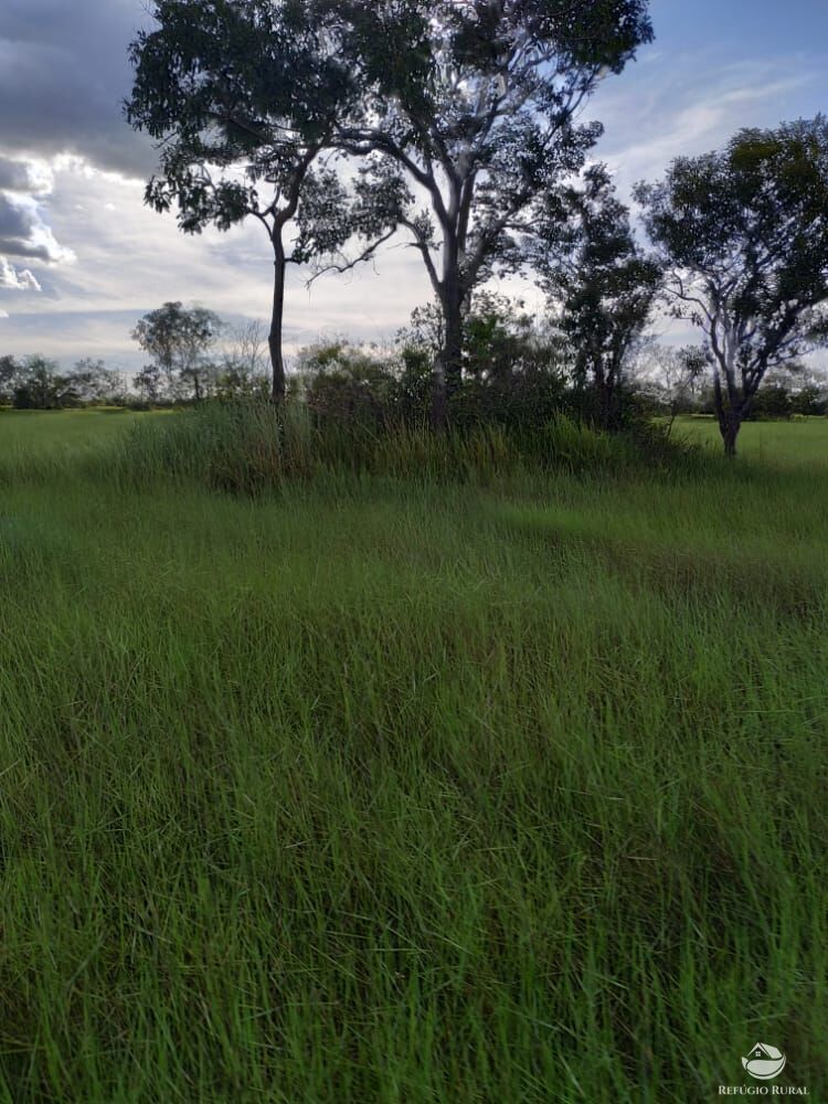 Fazenda à venda com 1 quarto, 78000000m² - Foto 5